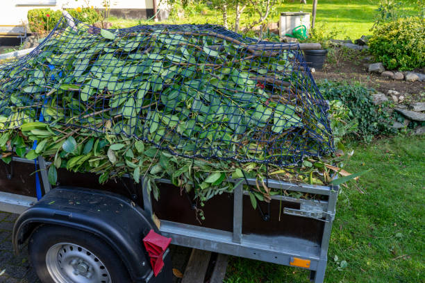 Best Moving and Downsizing Cleanouts  in Cherry Creek, CO